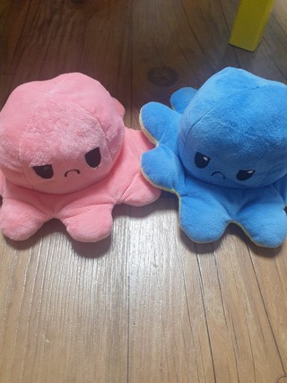 갤러리 이미지