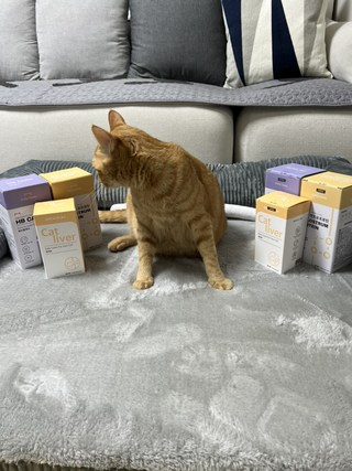 갤러리 이미지
