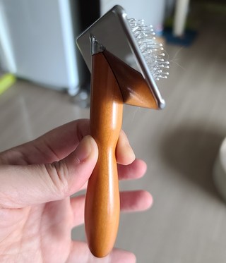 갤러리 이미지