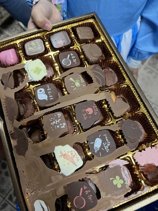 갤러리 이미지