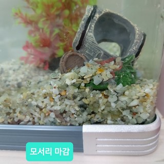 갤러리 이미지
