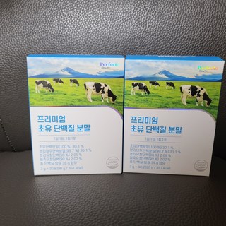 갤러리 이미지