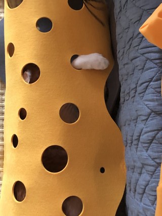 갤러리 이미지