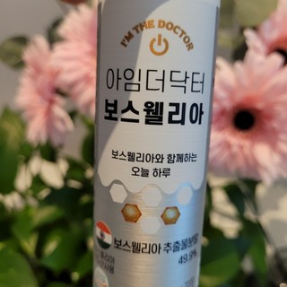 갤러리 이미지