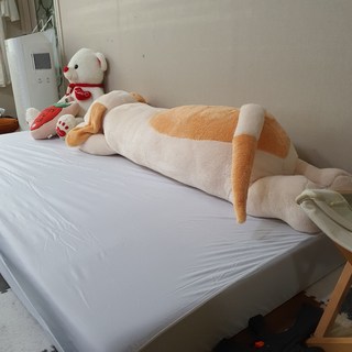 갤러리 이미지