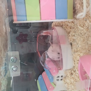 갤러리 이미지