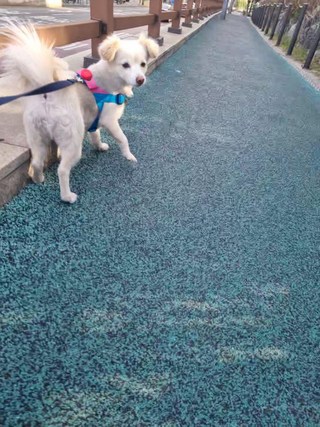 후기