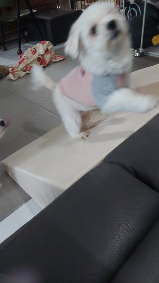 갤러리 이미지
