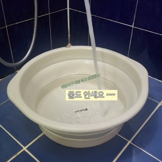 갤러리 이미지