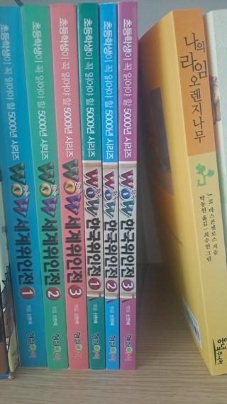 갤러리 이미지