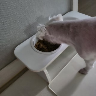 갤러리 이미지