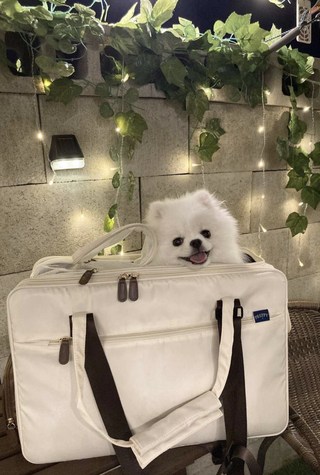 갤러리 이미지