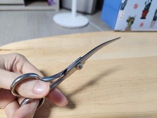 갤러리 이미지