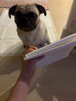 갤러리 이미지