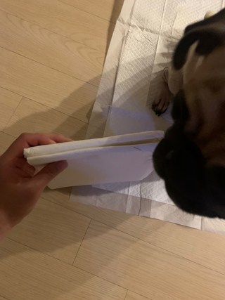 갤러리 이미지