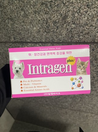 갤러리 이미지