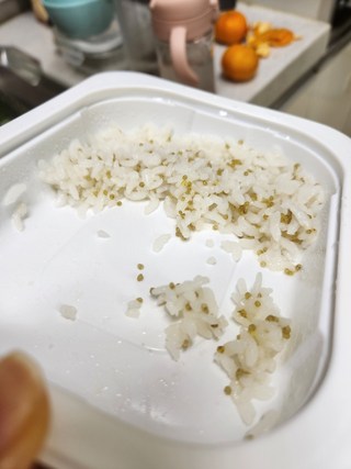 갤러리 이미지