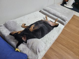 갤러리 이미지