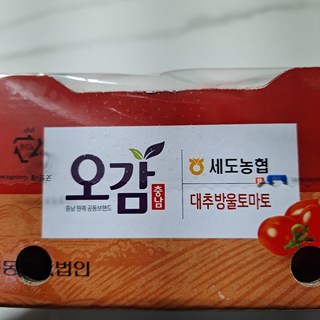 갤러리 이미지