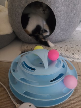 갤러리 이미지