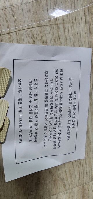 갤러리 이미지