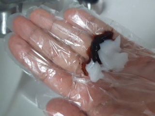 갤러리 이미지