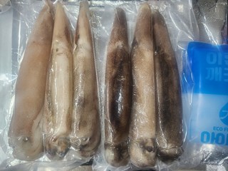 갤러리 이미지