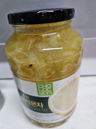 갤러리 이미지