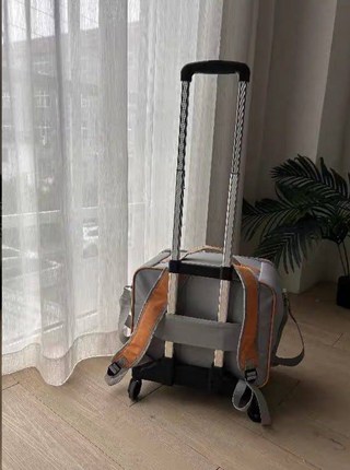 갤러리 이미지