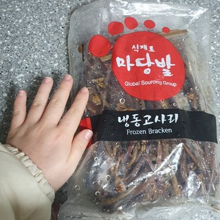 갤러리 이미지