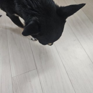 갤러리 이미지