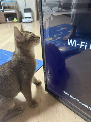 갤러리 이미지