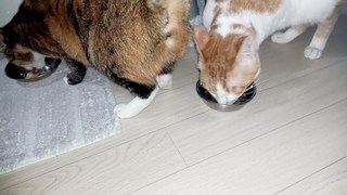 갤러리 이미지
