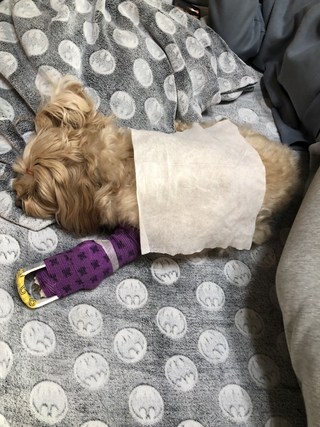 갤러리 이미지