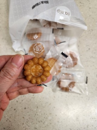 갤러리 이미지