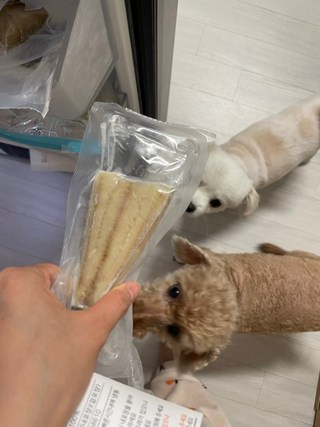 갤러리 이미지