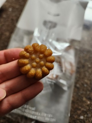 갤러리 이미지
