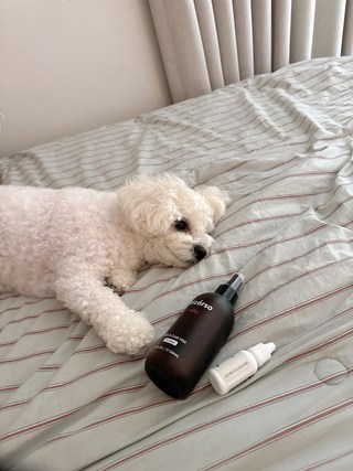 갤러리 이미지
