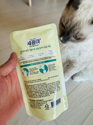 갤러리 이미지