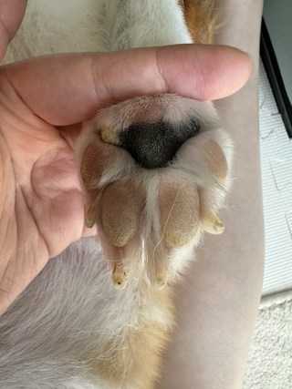 갤러리 이미지