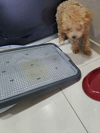 갤러리 이미지