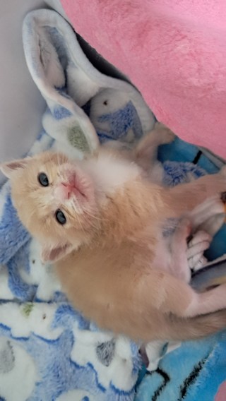 갤러리 이미지
