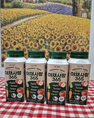 갤러리 이미지