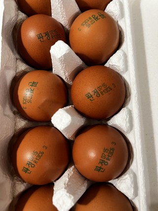 갤러리 이미지