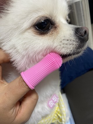 갤러리 이미지