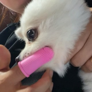 갤러리 이미지
