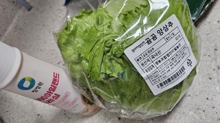 갤러리 이미지
