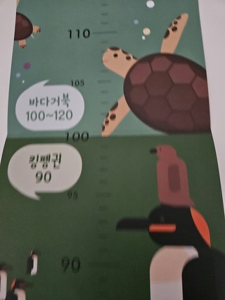 갤러리 이미지