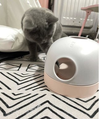 갤러리 이미지