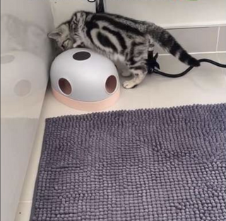 갤러리 이미지